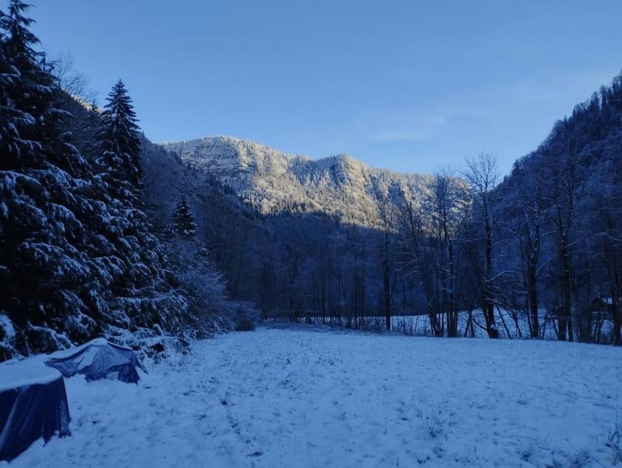 Chalet 8 Personnes + Grand Terrain Et Riviere Entremont Eksteriør bilde