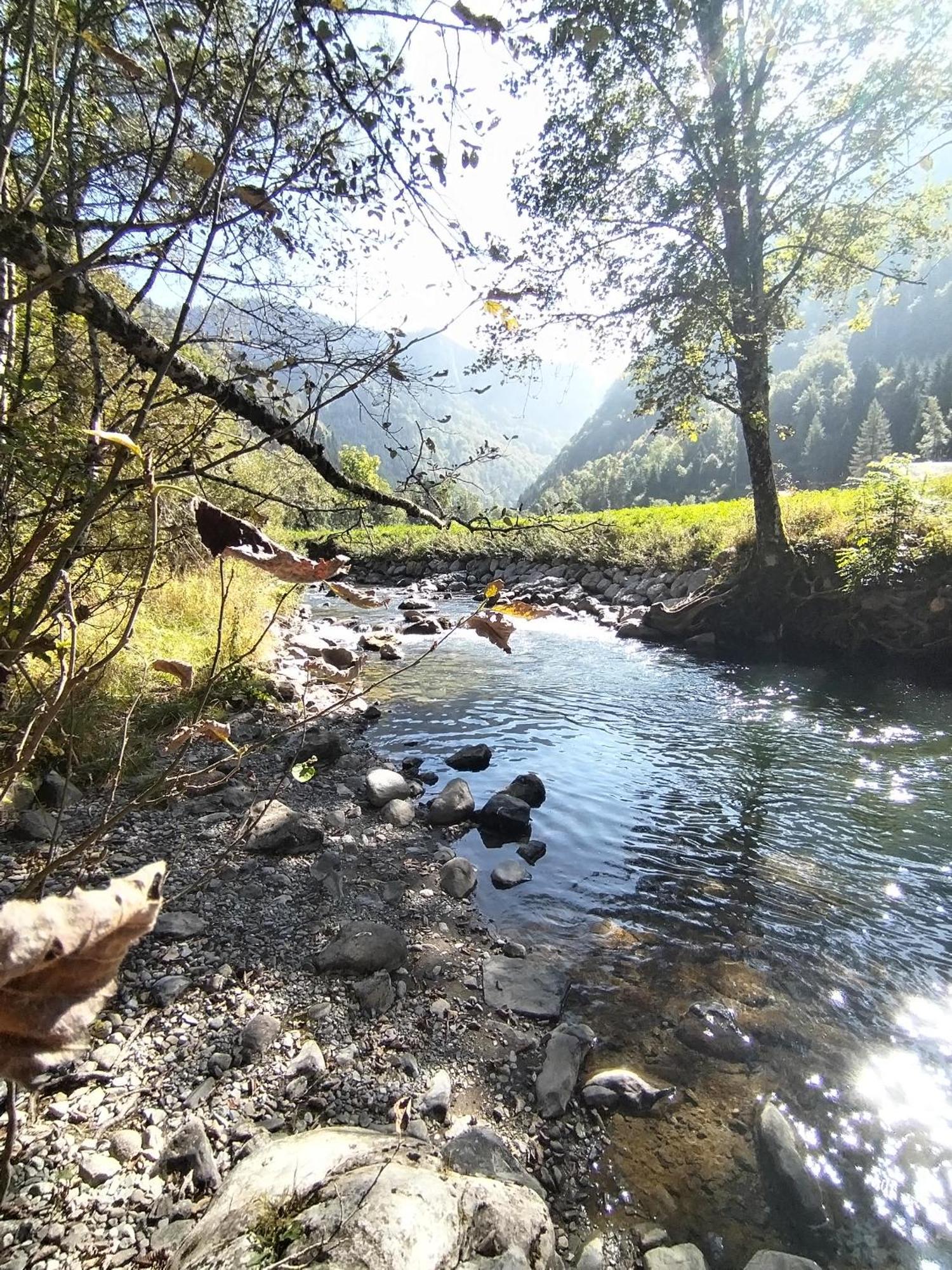 Chalet 8 Personnes + Grand Terrain Et Riviere Entremont Eksteriør bilde